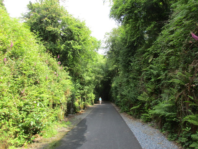 Cutting south of Ballyvoyle Tunnel
