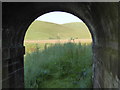 View through the arch, Crawford