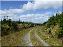 NS9608 : Forestry track, Hitteril Hill by Alan O'Dowd