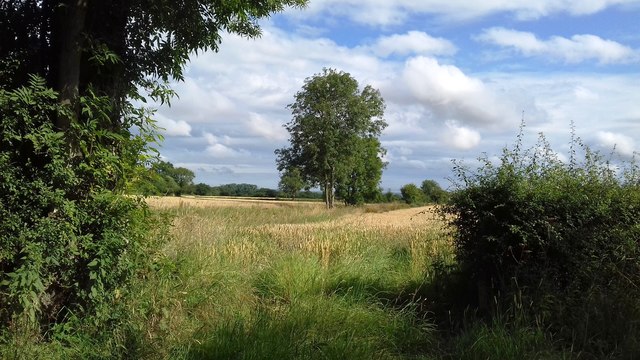 Farmland near Totten Bridge