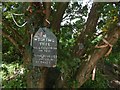 Wishing tree, Dumbarton foreshore