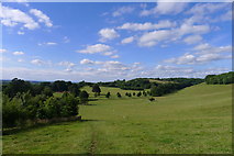 ST7580 : The Cotswold Way approaching the northern end of Dodington Park by Tim Heaton