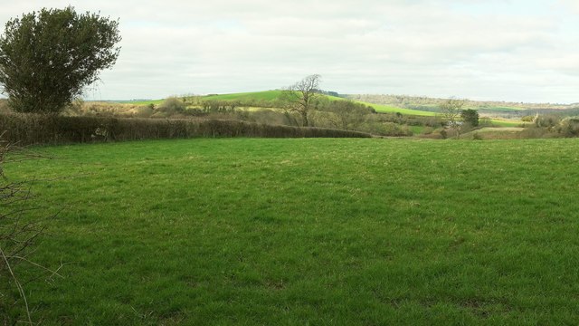 Field by Ruscombe Lane