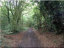 TQ7763 : Byway leading from North Dane Way, Lordswood towards Ham Lane, near Hempstead by Chris Whippet