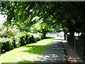 A shady footpath alongside Llanrwst Road