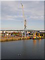 J3676 : Tower Crane at Belfast Ship Repair Quay by David Dixon