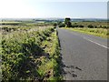 The road from Reaygarth to Shawfield