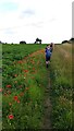 Path to Coneysthorpe