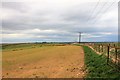 Crichneyled Farmland