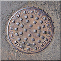 D0119 : Manhole cover, Dunloy by Rossographer