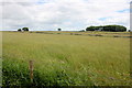 SK1669 : Countryside near Sheldon by Nigel Mykura