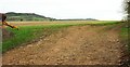 Field near Mapperton Farm