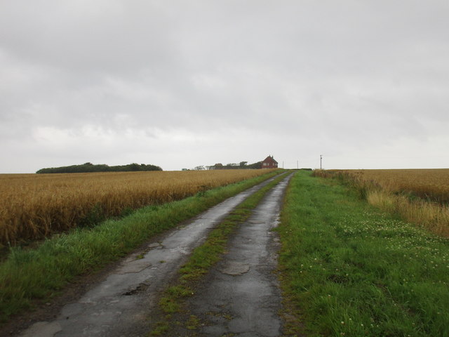 Track to Moat Farm