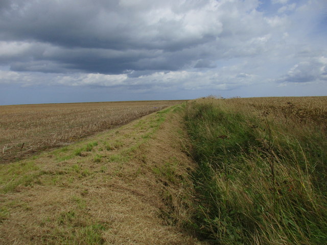 Field boundary between Garton and Ringborough
