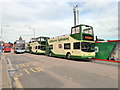 Eastbourne Sightseeing Buses, Terminus Road