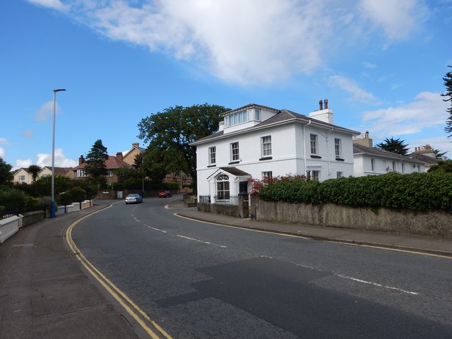 Houses on Woodbourne Road