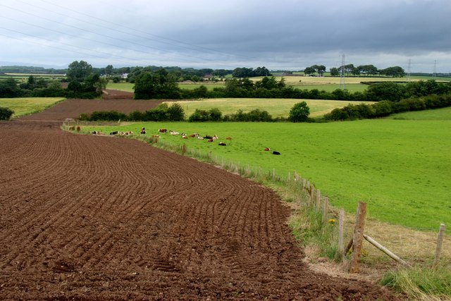 Mixed Farming At Drummuir, Dreghorn © Alan Reid :: Geograph Britain And ...