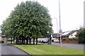 Bus stop on Kilmarnock Road, Springside