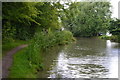 Ashby Canal near Nutt