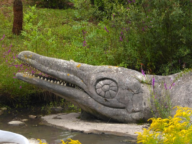 SE 19 Jurassic (5): The eye of the Ichthyosaur