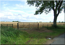 NT8457 : Field entrance near East Blanerne by JThomas