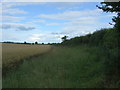 Field margin and hedgerow beside the A6105