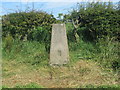 West Cairngillan trig point