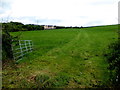 An open field, Killybrack