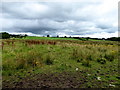 H4674 : Cloudy sky, Mullaghmore / Killybrack by Kenneth  Allen