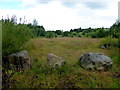 Waste ground, Mullaghmore