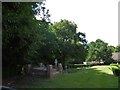 St Philip, Burwash Weald: churchyard (c)