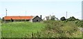 Traditional farm sheds on the Ballyfounder Road