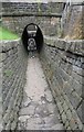 The horse tunnel