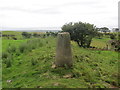 Triangulation pillar on Wardlaw Hill