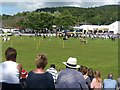 The Cattle Ring, Royal Welsh Show