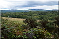 View over Lonbuie from Fanellen