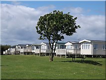 TA0982 : Blue Dolphin Holiday Park by Stephen Sweeney