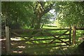 SX7352 : Gate and field on Storridge Moor by Derek Harper