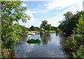 The Boating Lake, Dulwich Park