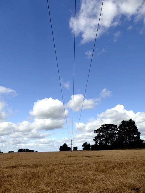 Power Lines Over A Field Of Barley © Graham Hogg Geograph Britain And Ireland 4777