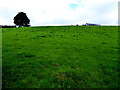 House over a hill, Richmond