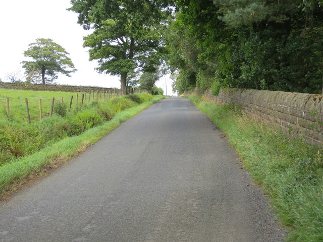 Road to Leighton