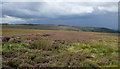 SE4896 : Heather moorland south-west of Miley Pike by Trevor Littlewood