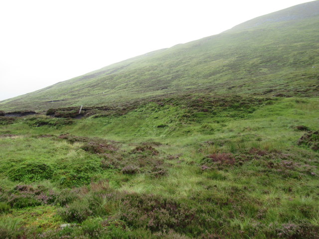 Slopes of Sron a' Choire near Loch Laggan