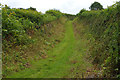 Track to Red Wharf Bay