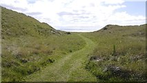 NT4985 : Mown path, West Links by Richard Webb