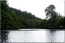 NH4641 : The east channel of the River Beauly passing Eilean Aigas by Mike Pennington