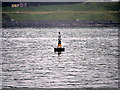 SW8232 : The Guvernor Buoy, Falmouth Harbour by David Dixon