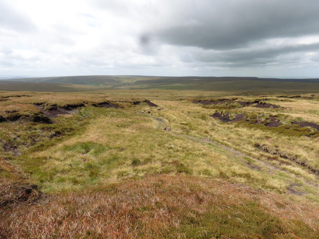 View towards Featherbed Moss