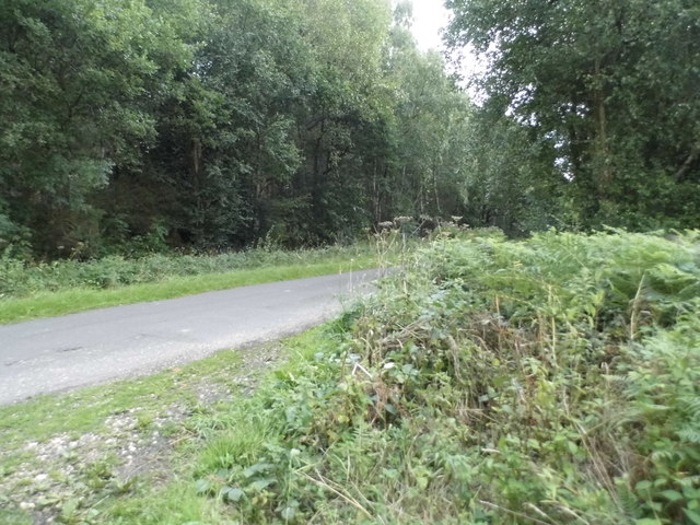 Unnamed Road in Wickham Heath